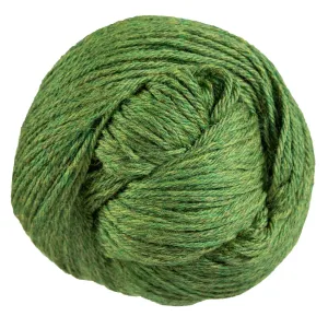 Cascade 220 Yarn - 2429 Ireland